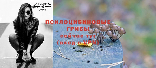 гашик Елабуга