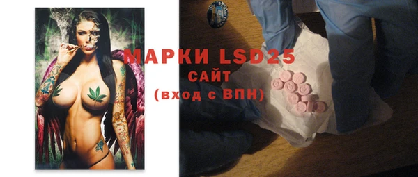 ПСИЛОЦИБИНОВЫЕ ГРИБЫ Балахна