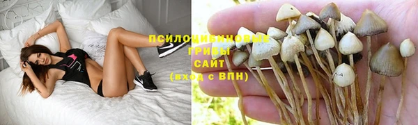 ПСИЛОЦИБИНОВЫЕ ГРИБЫ Балахна