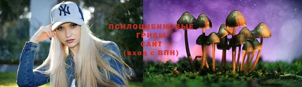 ПСИЛОЦИБИНОВЫЕ ГРИБЫ Балахна