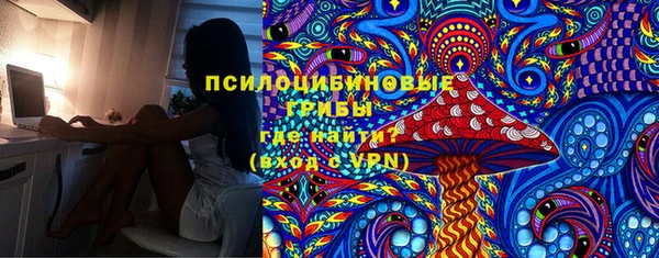 шишки Балабаново