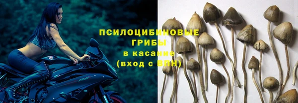 COCAINE Баксан