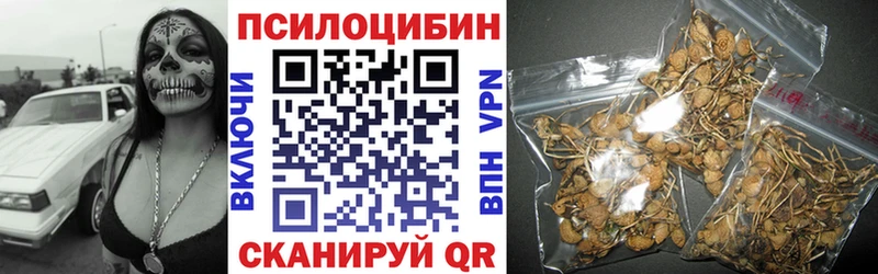 ссылка на мегу зеркало  Сортавала  Псилоцибиновые грибы GOLDEN TEACHER  купить  